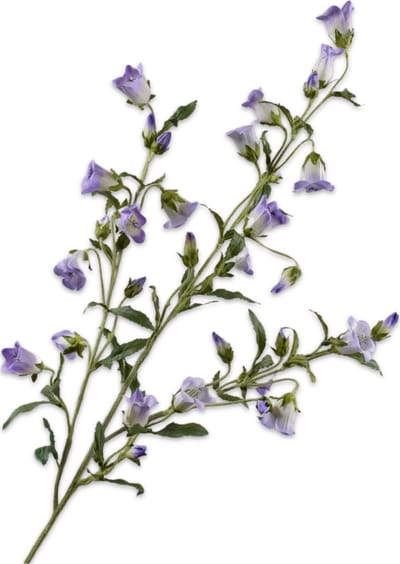 Silk-ka Kunstbloem-Zijden Bloemen Campanula Tak Lila 112 cm