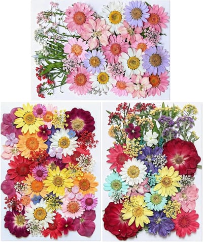 DIY Natuurlijke Bloemen Knutselset met Gedroogde Geperste Bloemen voor Scrapbooking, Resin Projecten en Thuisdecoratie