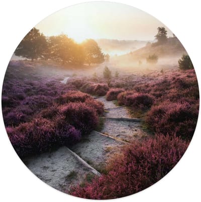 Glasschilderij Wandelpad langs de heide - Ø 50 - Glas - REINDERS