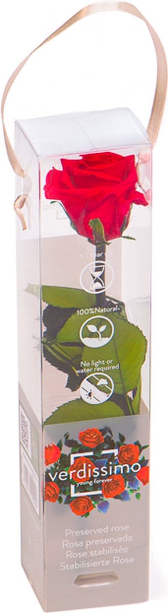 Losse Rode Roos – Longlife - Cadeau Verpakt