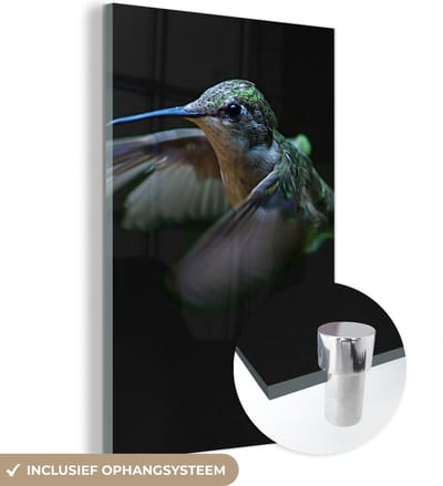 MuchoWow® Glasschilderij 120x180 cm - Schilderij acrylglas - Kolibrie - Vogel - Veren - Zwart - Foto op glas - Schilderijen