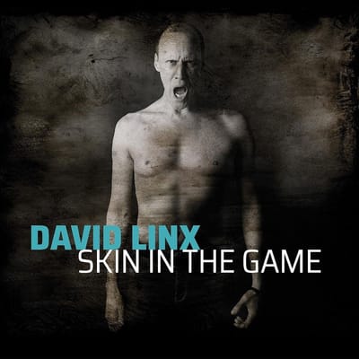 David Linx - Skin In The Game (CD)