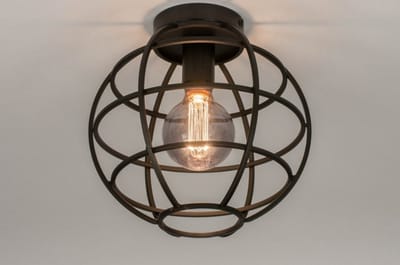 Lumidora Plafondlamp 73658 - Plafonniere - EGOR - E27 - Zwart - Metaal - ⌀ 28 cm