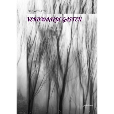 Verdwaalde Gasten - Elle WERNERS