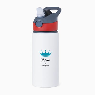 Hacebo® - prince of everything waterfles met rietje rood - Prins - iemand die zich voelt als een prins - verjaardag - cadeau - kado - geschenk - kroon - water fles - 650ML
