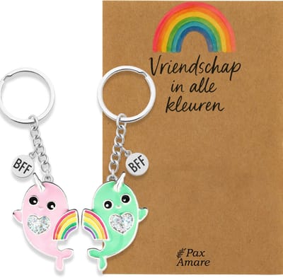 BFF Sleutelhanger voor 2 'Vriendschap in alle kleuren' - Regenboog Narwal Roze & Groen - Sleutelhanger set op Cadeau Kaartje - Zilverkleurig - Vriendschap Symbool - Pax Amare