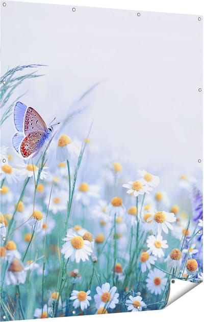 Gards Tuinposter Witte Kamille Bloemen met een Vlinder - 120x160 cm - Tuindoek - Tuindecoratie - Wanddecoratie buiten - Tuinschilderij