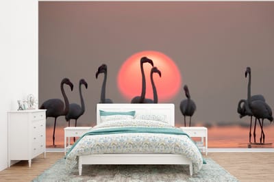 Behang - Fotobehang Vogel - Flamingo - Zonsondergang - Roze - Breedte 400 cm x hoogte 300 cm