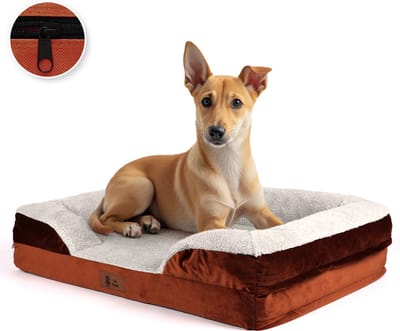 Pet Perfect Luxe Orthopedische Hondenmand - Orthopedisch Hondenkussen - Afneembare hoes - Wasbaar - Met Rits - Hondenbed - 76x51 cm - M