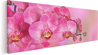 Artaza Canvas Schilderij Bloemen - 60x20 cm - Wanddecoratie Orchidee - Muurdecoratie Woonkamer - Kamer Accessoires Roze