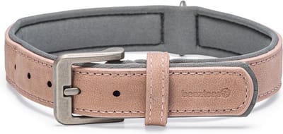 Beeztees Balacron Ax Halsband Hond - Kunstleer - Roze - 38-48 cm x 25 mm