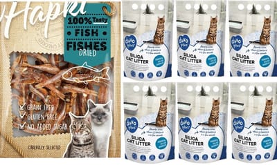 kattenbakvulling - premium Silica - 6 x 5 Liter - Superieure vochtopname - Stofvrij - 100% Natuurlijk - Biologisch afbreekbaar