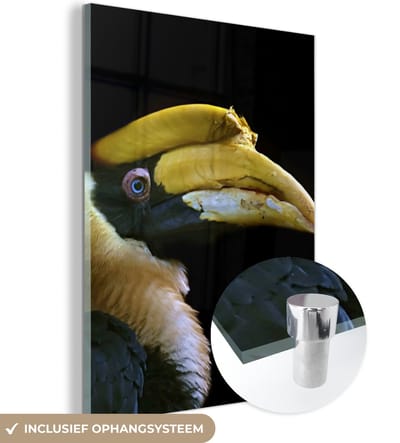 MuchoWow® Glasschilderij 120x160 cm - Schilderij acrylglas - Vogel - Snavel - Zwart - Foto op glas - Schilderijen