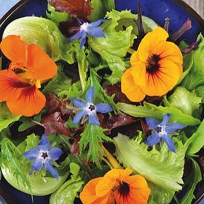 Bloemen mix zaden - Eetbare Bloemen mix