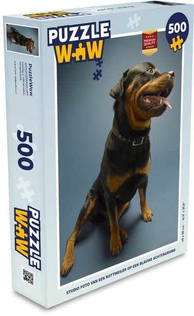 Puzzel Studio foto van een Rottweiler op een blauwe achtergrond - Legpuzzel - Puzzel 500 stukjes