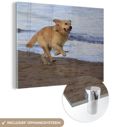 ® Glasschilderij 160x120 cm - Schilderij acrylglas - Een Golden Retriever langs het water op het strand - Foto op glas - Muurdecoratie woonkamer - Wanddecoratie slaapkamer - Schilderijen