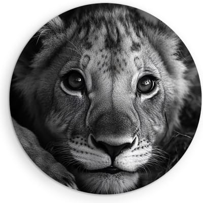 Saammp Muurcirkel Hout - Schattige Leeuwen Welp - Dieren - Natuur - Ø 90 - Wandcirkel - Wanddecoratie Cirkel - Muurdecoratie Woonkamer - Slaapkamer decoratie - Rond Schilderij