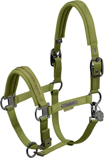 Eskadron Halster Eskadron Platinum Double Pin Glossy Crystal Groen