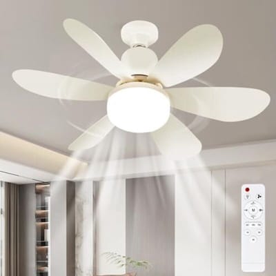 LISM-Een hanglamp met ingebouwde ventilator, een stille LED-plafondventilator met geïntegreerde verlichting en afstandsbediening, Geschikt voorzien van 3 dimstanden, 3 windsnelheden en een timerfunctie.
