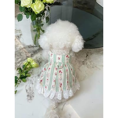 Huisdierkleding Lente/Zomer Nieuwe Gestreepte Bloemige Kant Rok Teddybeer Kat Dunne Kleding Hondenkleding voor Kleine Honden Klein Hondje Jurk XL