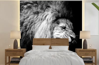 Behang - Fotobehang Leeuw - Portret - zwart - Wit - Dieren - Breedte 350 cm x hoogte 350 cm