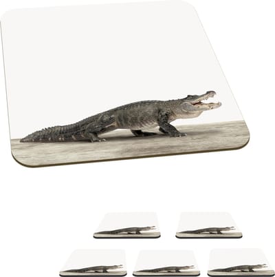 Onderzetters voor glazen - Kinderen - Krokodil - Jongen - Kids - Meiden - 10x10 cm - Glasonderzetters - 6 stuks
