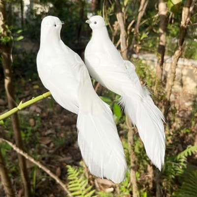 LWINGFLYER 2 stuks witte vredesduiven gevederde liefdesvogels 20 cm clip op ornamenten voor kerstboomdecoraties bruidstaart centerpieces vogelkooi krans ambachten bloemstuk begrafenis