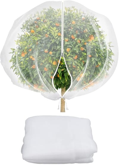 Dailygoody - Tuinnetgaas - Multifunctionele Plantendekking - Lichtgewicht en Duurzaam - 2,4 x 2,4m - Beschermend Fruitnet - Geschikt voor Tuin en Terr