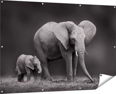 Gards Tuinposter Olifant Moeder en Zoon - Zwart Wit - 150x100 cm - Tuindoek - Tuindecoratie - Wanddecoratie buiten - Tuinschilderij
