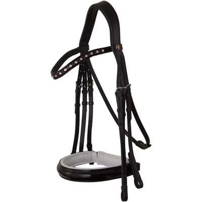 Anatomische hoofdstellen BR Equitation Wendover