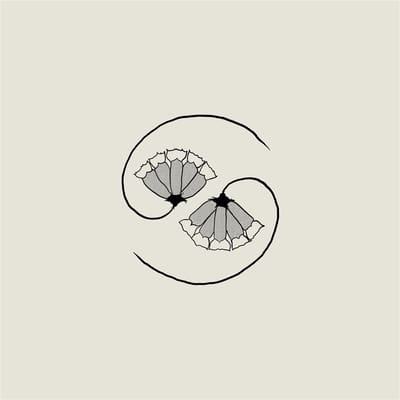 Godspeed You! Black Emperor - G_d's Pee At State's End! (LP | 10" Vinyl)