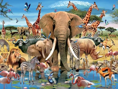 Puzzel 1000 Stukjes - Legpuzzel Volwassenen - Ontspannend Tijdverdrijf - Levendige Kleurweergave - 70 x 50 cm - Wildlife Safari