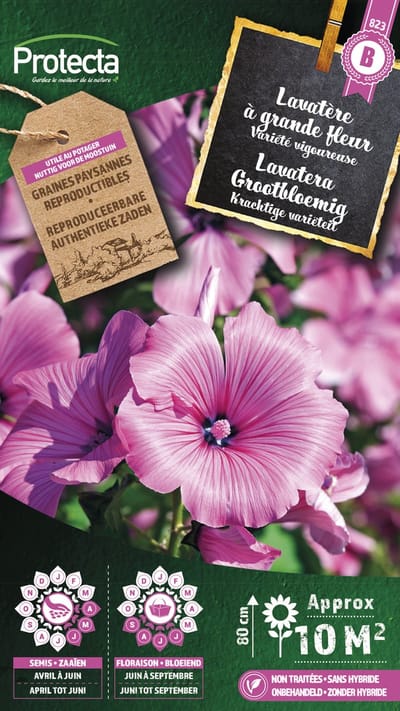 Protecta Bloemen zaden: Lavatera Grootbloemig