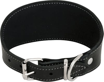 Halsbband windhond - zwart - 37cm (whippet)