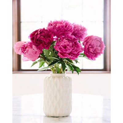 5D diamant schilderij bloem kruissteek bloemen foto diamant borduurwerk 20X30CM pink