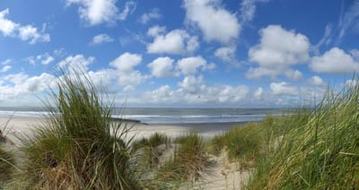 Fotobehang duinen en strand Ameland 250 x 260 cm - € 175,--