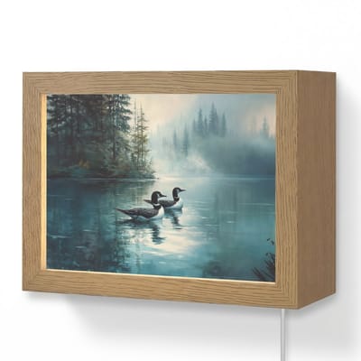 Wandlamp 20x15 cm - Oplaadbaar - Bos - Water - Eenden - Mistig - Wandlampen binnen woonkamer - Slaapkamer lamp met kabel - Decoratieve nachtlamp - Vloerlamp snoer