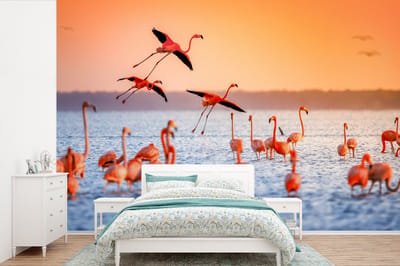 Behang - Fotobehang Vogel - Flamingo - Water - Zonsondergang - Roze - Breedte 450 cm x hoogte 300 cm