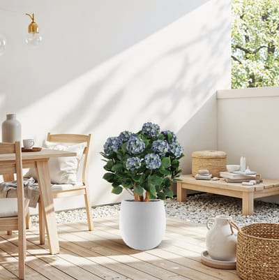 Hortensia UV Kunstplant Deluxe 80cm Blauw