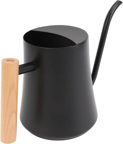 Gieter Binnen - Planten watergever - Planten Verzorgen - Roestvrij Staal - 1 Liter - Mat Zwart