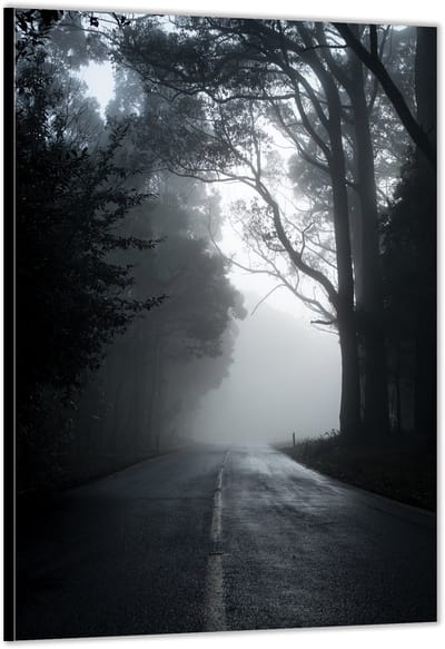 KuijsFotoprint - Schilderij - Mistige Staat In De Bossen - Zwart, Wit En Grijs - 200 X 100 Cm