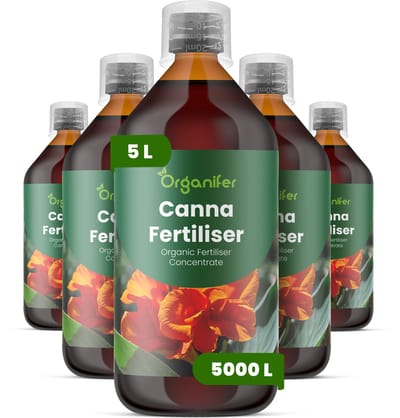 Vloeibare Meststof Voor Canna 5X1 L Voor 5000 L - Npk 3-4-3 - Krachtige Groei - Tropisch Blad - Kleuruitdrukking - Stevige Bloemstelen - Rijke Bloei - Rizoomontwikkeling - Snelle Zomergroei - Sterke Plantstructuur - Organifer