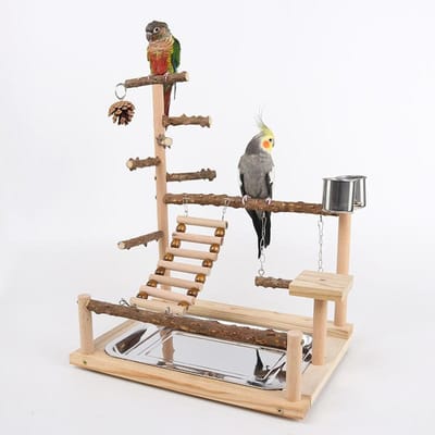 Plateforme Premium Haute Qualité en Bois de Poivrier pour Perroquet Filet d'Escalade pour Perroquet Station d'Entraînement à l'Escalade Échelle d'Escalade Balançoire Jouet pour Oiseau Suspension jaune