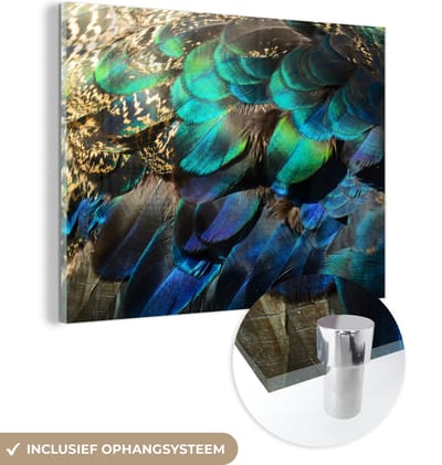 MuchoWow® Glasschilderij 40x30 cm - Schilderij acrylglas - Veren - Pauwveren - Pauw - Blauw - Kunst - Foto op glas - Schilderijen