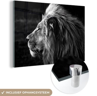 MuchoWow® Glasschilderij 60x40 cm - Schilderij acrylglas - Dieren - Zwart - Wit - Profiel - Foto op glas - Schilderijen