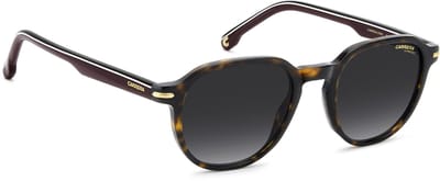 Carrera Zonnebril CARRERA 376/S Volwassenen Bruin