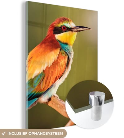 MuchoWow® Glasschilderij 30x40 cm - Schilderij acrylglas - Vogels - Bijeneter - Regenboog - Dieren - Foto op glas - Schilderijen