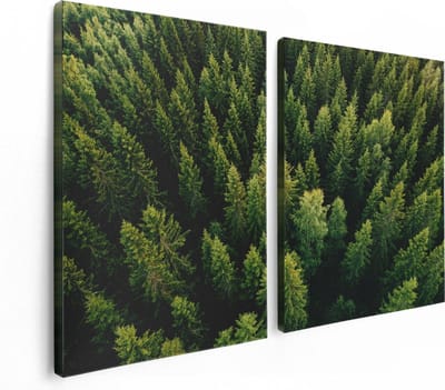 Artaza Canvas Schilderij Tweeluik Bos Met Bomen Vanaf Boven - 120x80 - Foto Op Canvas - Canvas Print