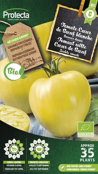 Tomaat Witte Coeur de Boeuf - zachte smaak - PR471