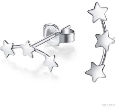 Oorbellen- Sterren- RVS- zilverkleur- Charme Bijoux